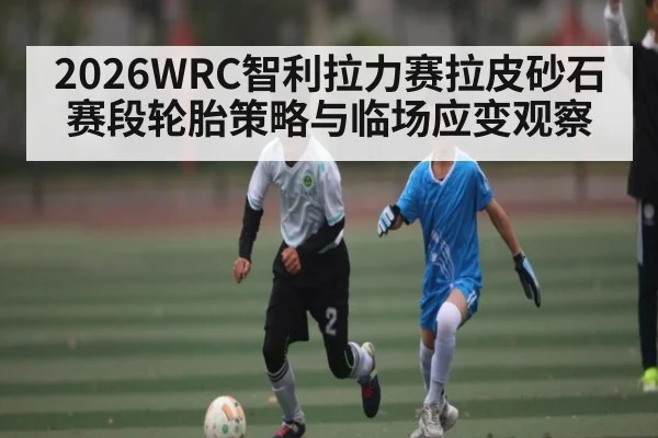 2026WRC智利拉力赛拉皮砂石赛段轮胎策略与临场应变观察